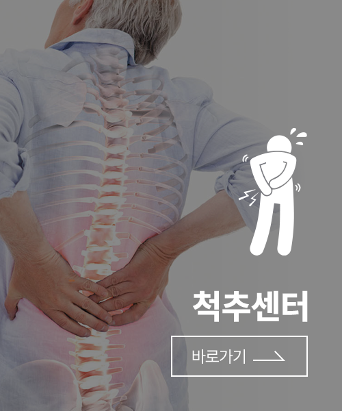 척추센터
